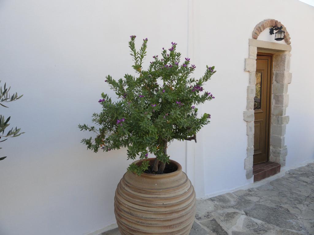 Phaestias Villa *
